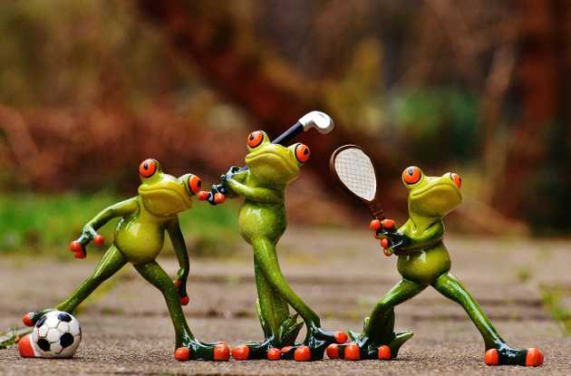 Frogs